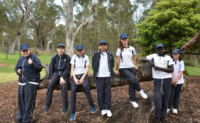 School Students on Log