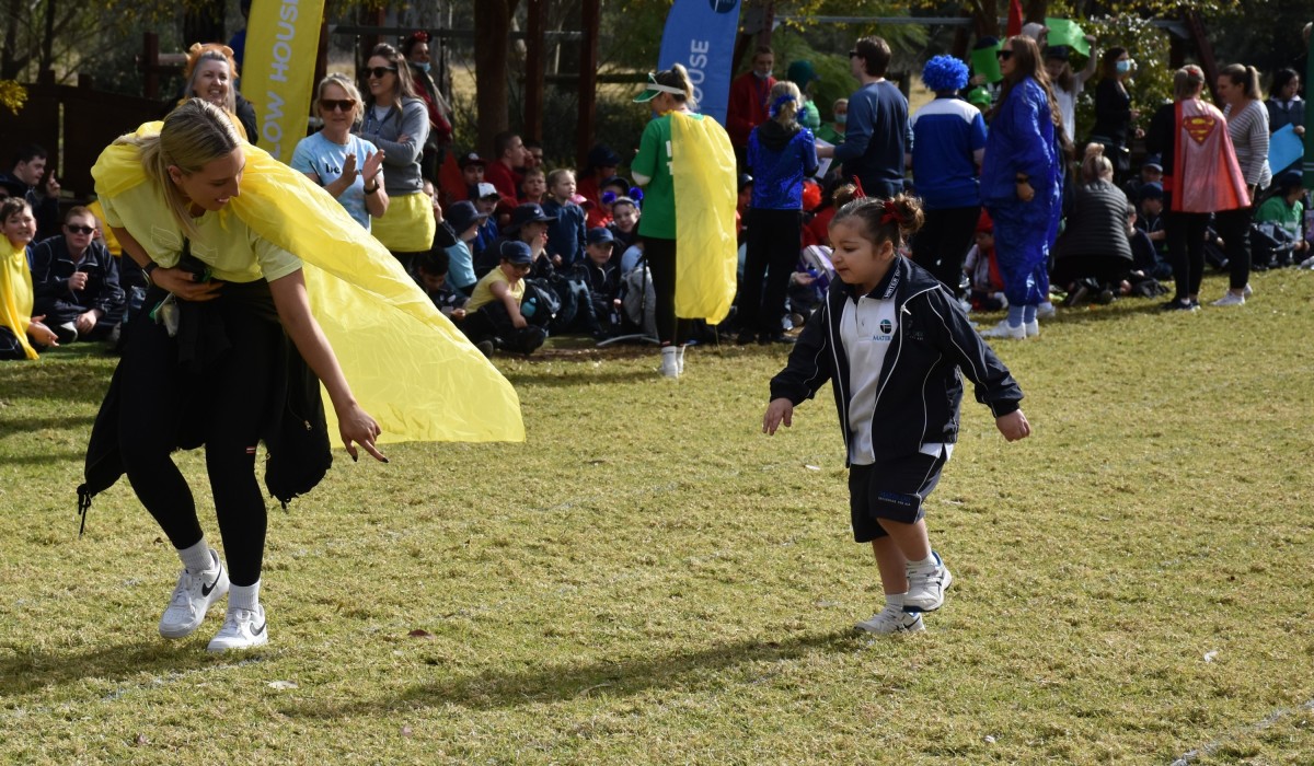 DSC 0594 cropped